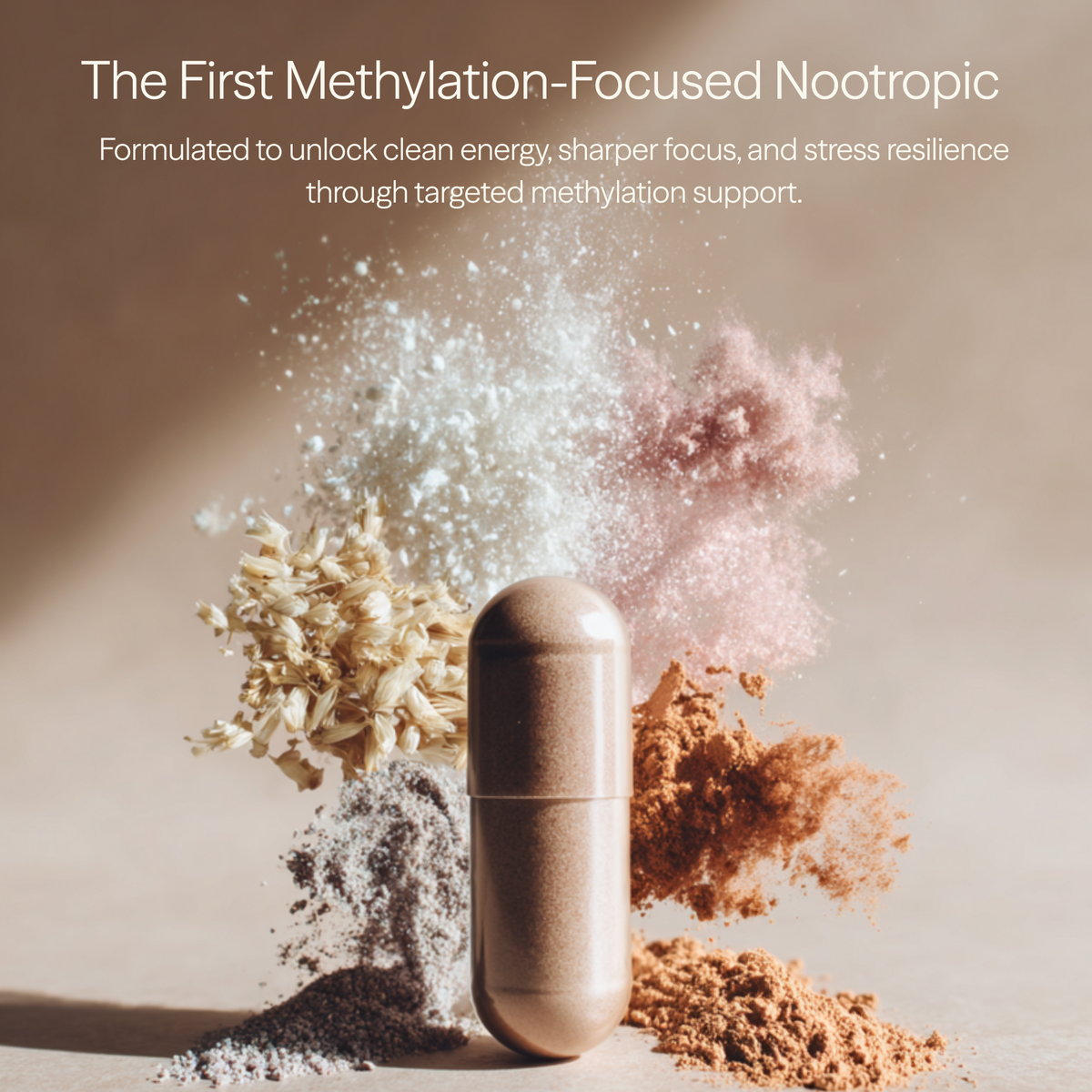 Methyl Rise