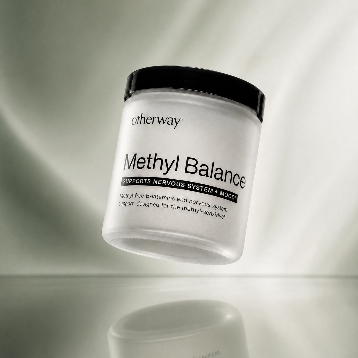 Support Methyl-Sensitivity with Methyl Balance
